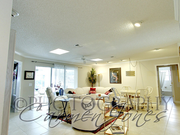 219pinetree0011
