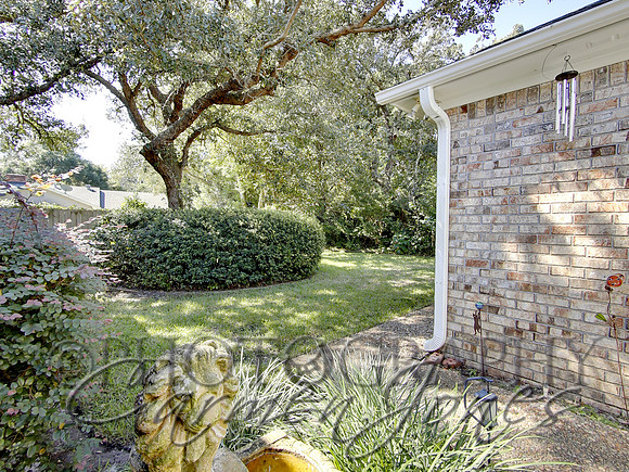 219pinetree0028