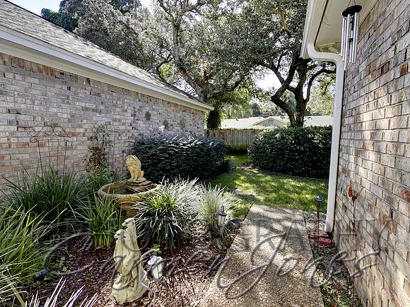 219pinetree0029