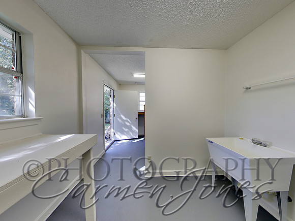 219pinetree0031