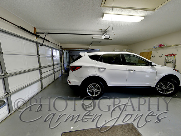 219pinetree0033