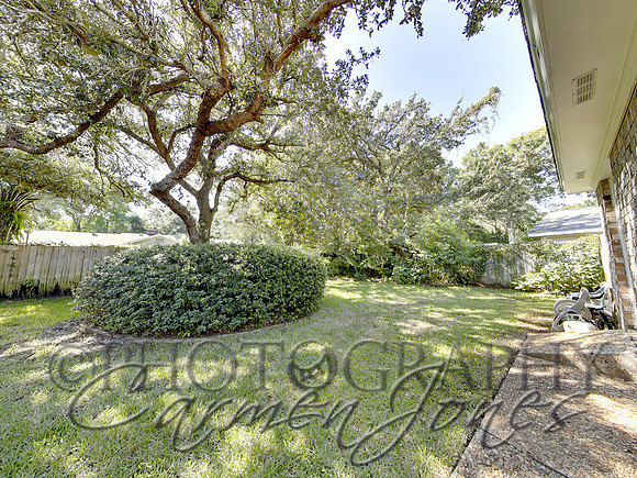 219pinetree0034