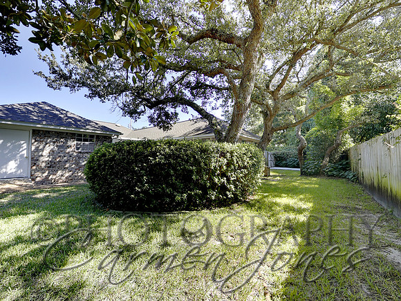 219pinetree0036