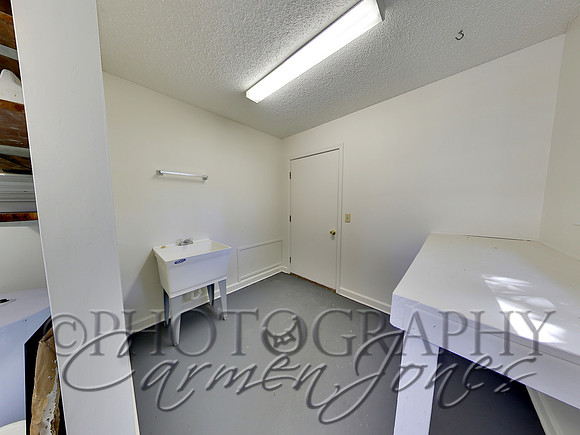 219pinetree0037