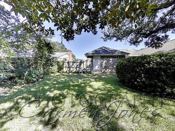 219pinetree0038