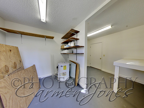 219pinetree0040