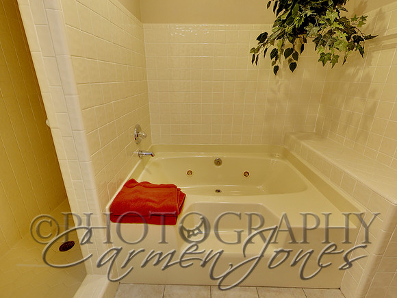 219pinetree0042
