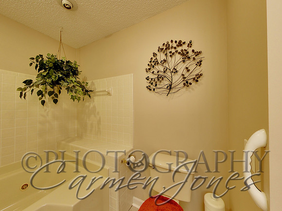 219pinetree0043