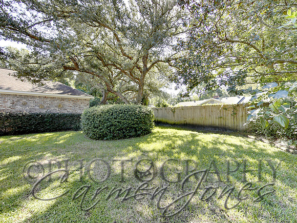 219pinetree0044