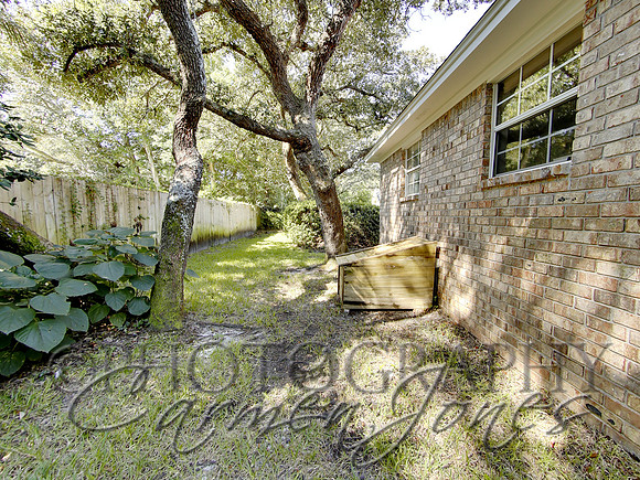 219pinetree0045