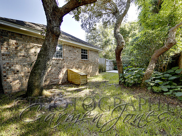219pinetree0047