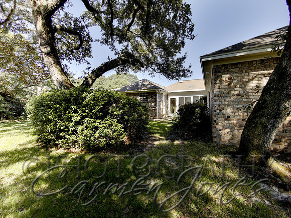 219pinetree0048