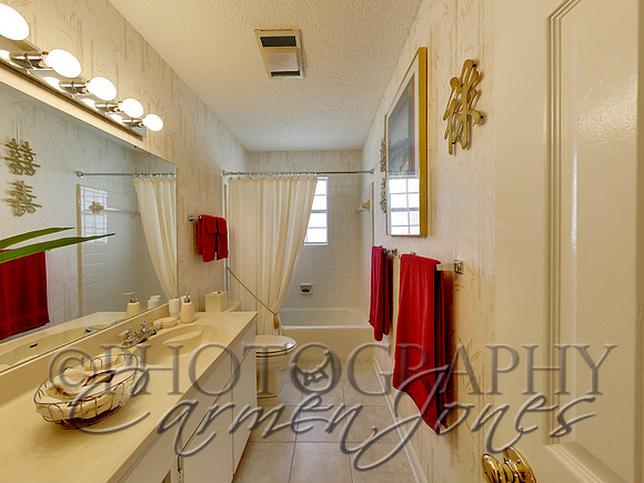 219pinetree0054
