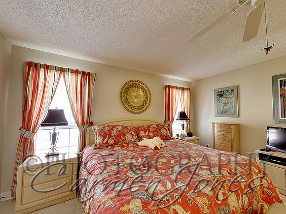219pinetree0055