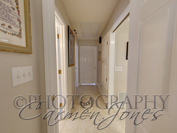219pinetree0059