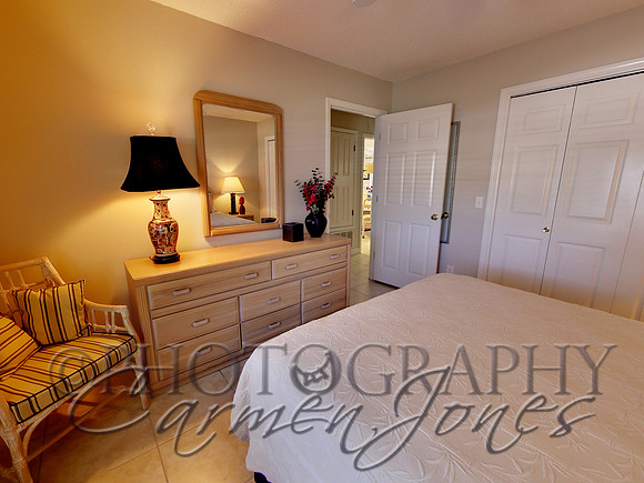 219pinetree0061