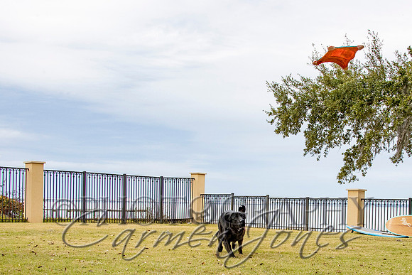 timmons_IMG_099