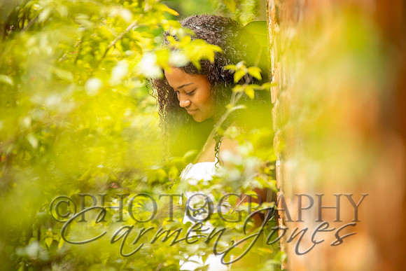 L_Sims25_1403