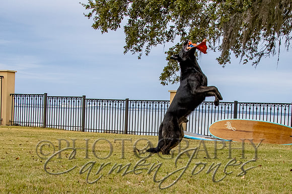 timmons_IMG_129