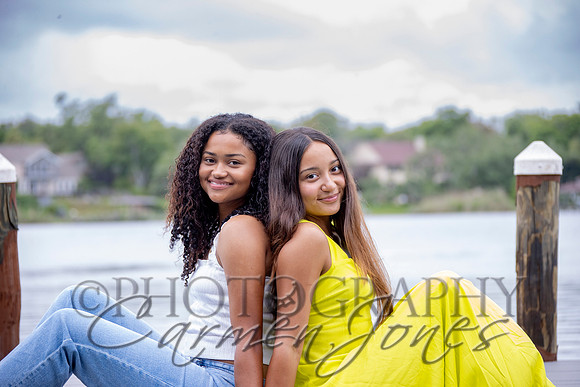 L_Sims25_1237