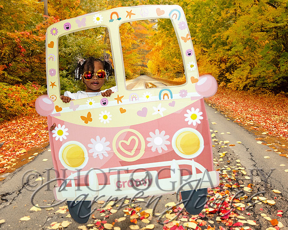 fall road