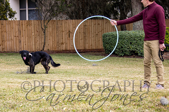 timmons_IMG_089