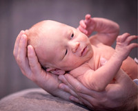 jebnewborn23_img_0267