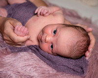 Lakely25_0106