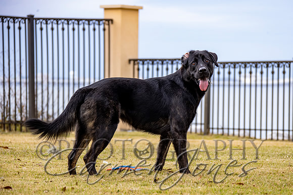 timmons_IMG_108