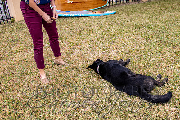 timmons_IMG_088
