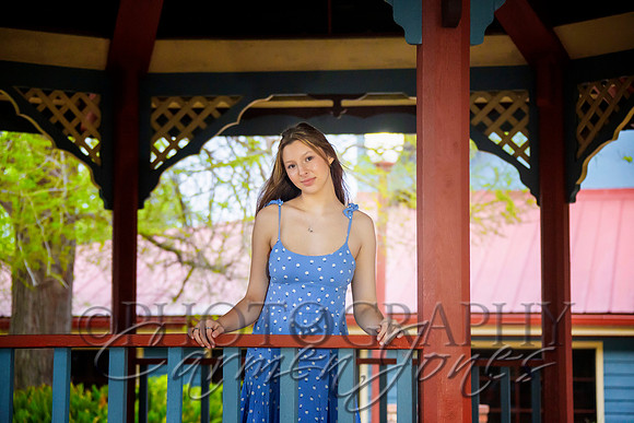 violetIMG_0437