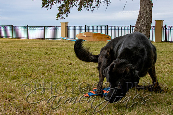 timmons_IMG_102