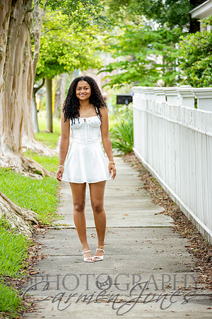 L_Sims25_1327