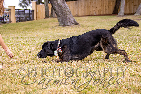 timmons_IMG_086
