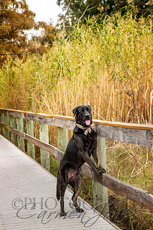timmons_IMG_032
