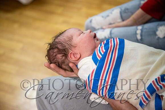 varrivalIMG_0023