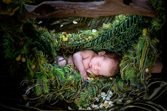 newborn'23img_0536