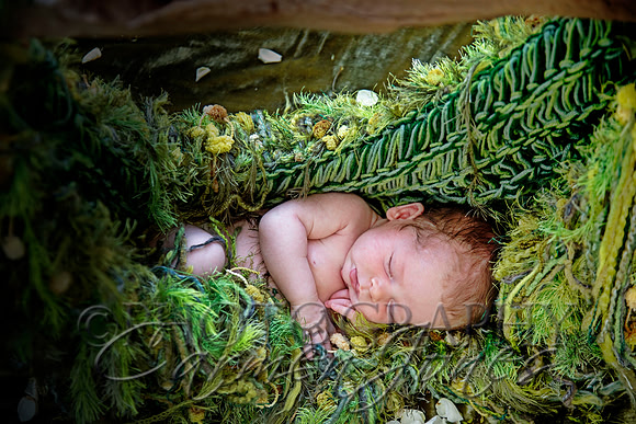 newborn'23img_0535