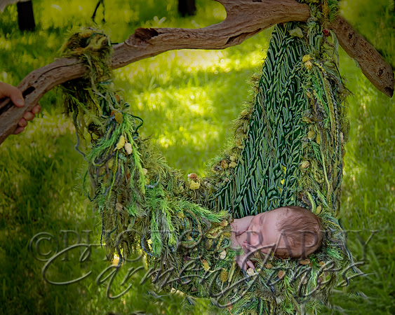 newborn'23img_0527