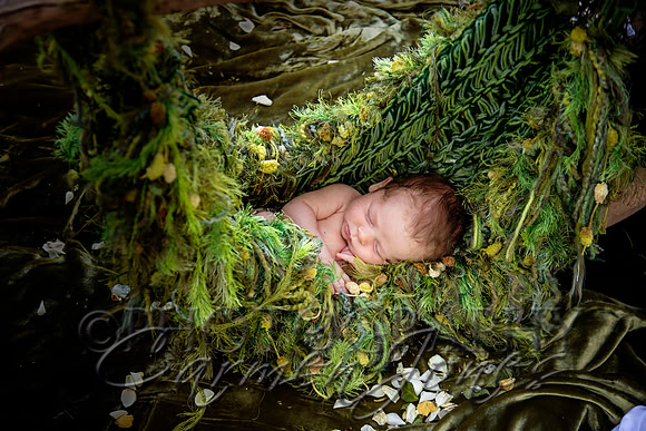newborn'23img_0542