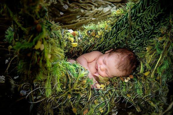 newborn'23img_0545