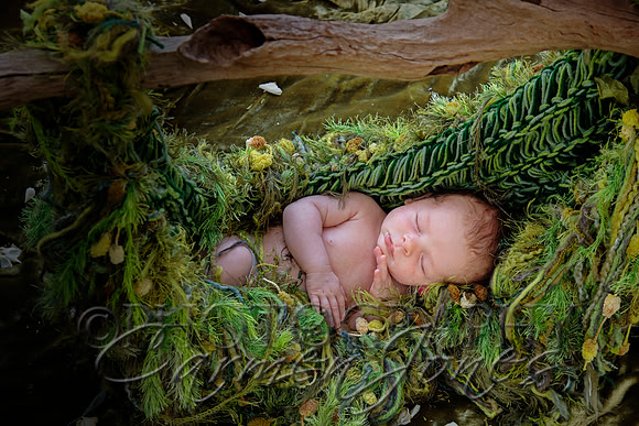newborn'23img_0552