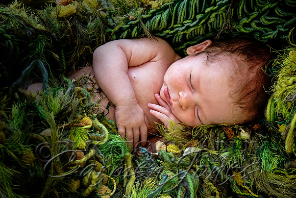 newborn'23img_0561