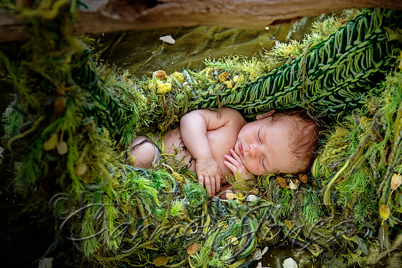 newborn'23img_0557