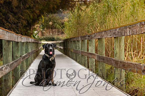 timmons_IMG_029