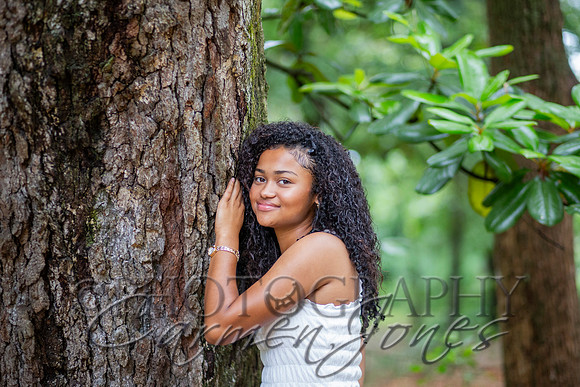 L_Sims25_1440
