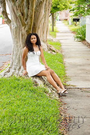 L_Sims25_1331