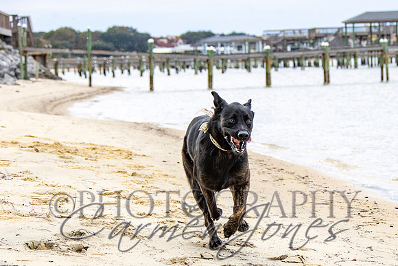 timmons_IMG_075