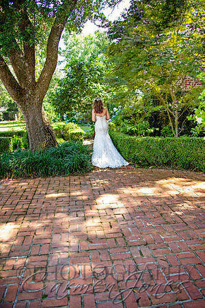 a&p_IMG_0474