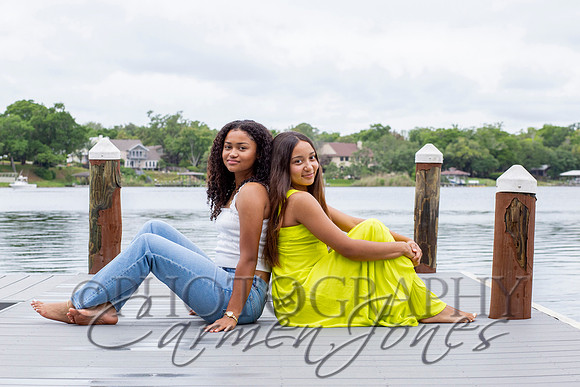 L_Sims25_1452